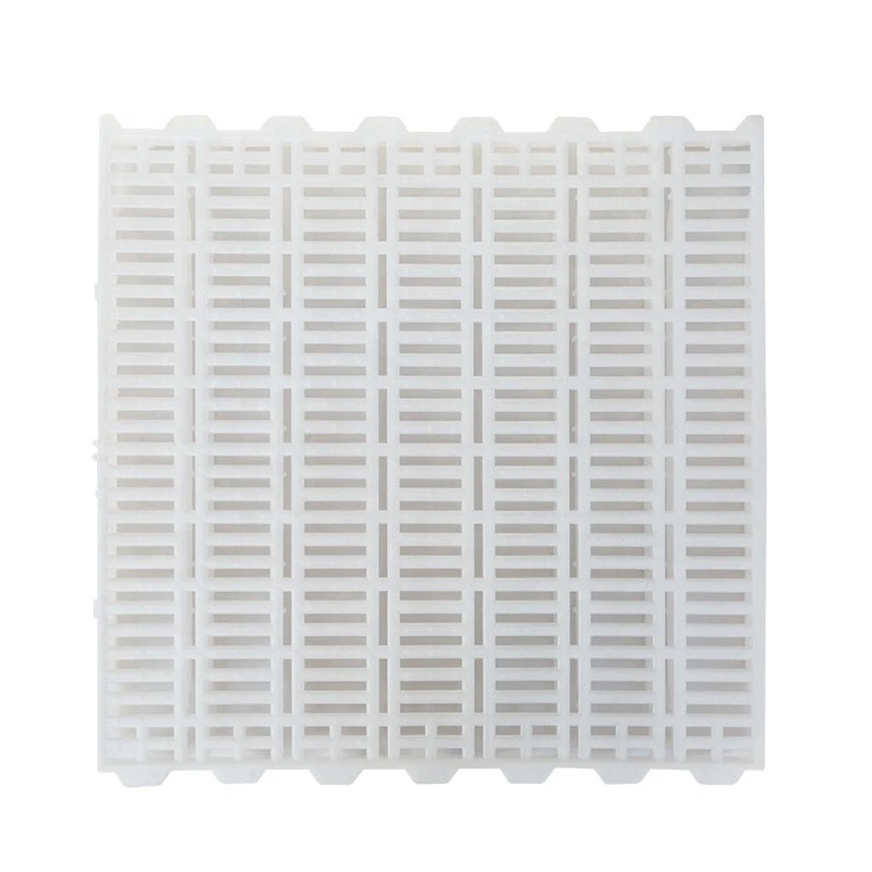 photobank 5 photobank 5