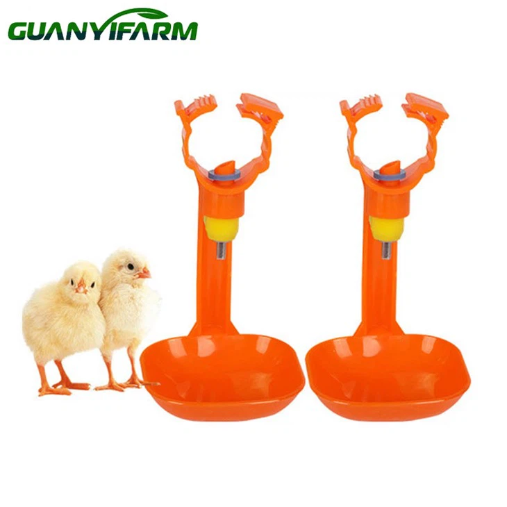 Automatic Drinking Cups for Chickens