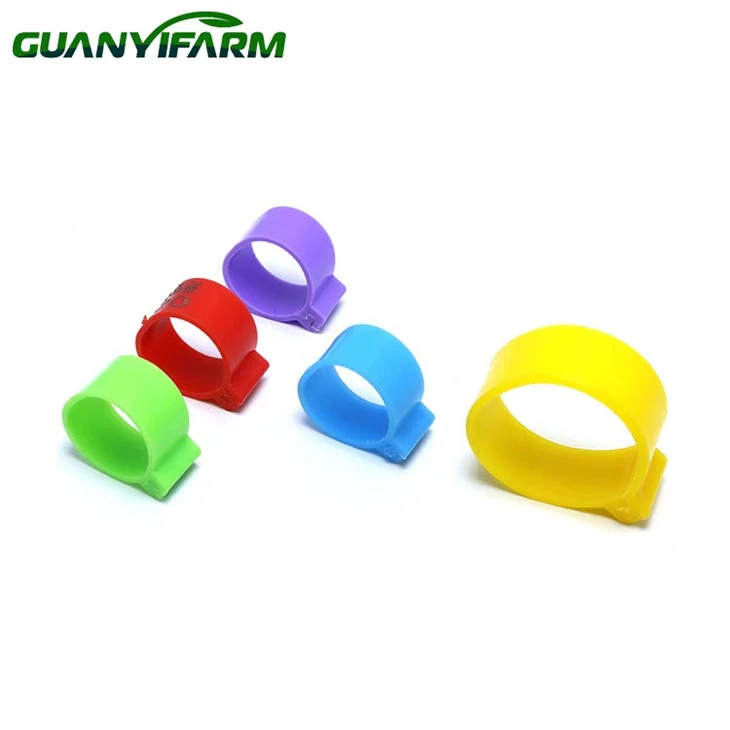 Chicken Foot Ring