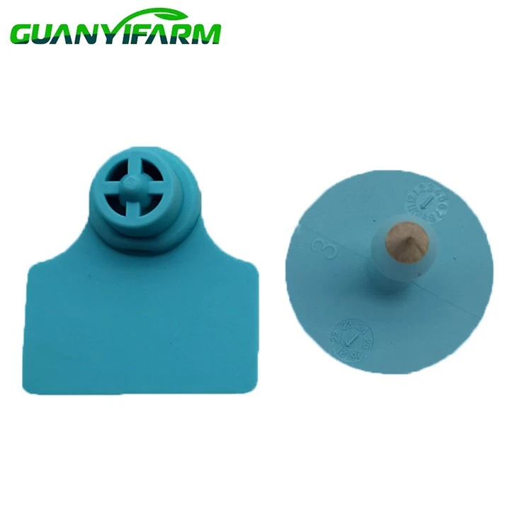 Ear Tagging For Domestic Livestock