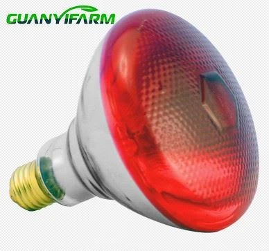 Infrared Light Bulb For Animal