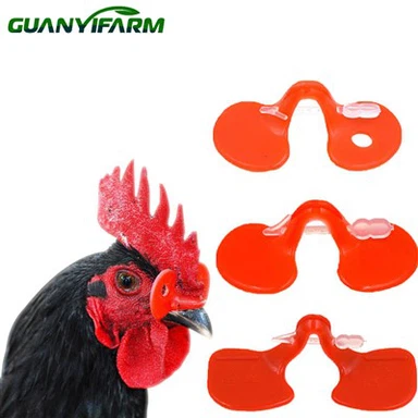 anteojos de plástico de pollo