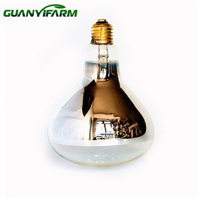 Lámpara de calor transparente