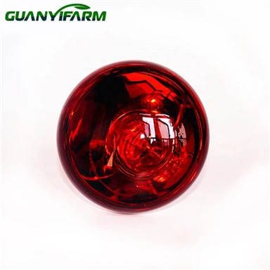 Bombilla infrarroja para pollitos