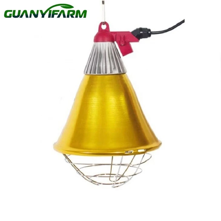 Luces infrarrojas para pollos