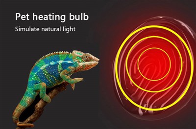 Ventaja de la lámpara para reptiles Gecko