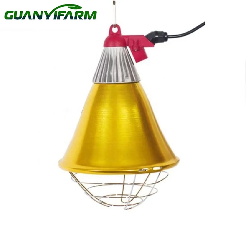 details of infrared lights for chickens 2 details of infrared lights for chickens 2