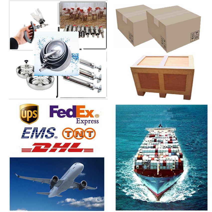 Packaging and Delivery of dairy cow teat dip cups Packaging and Delivery of dairy cow teat dip cups